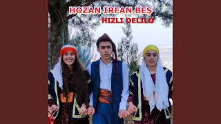 Hareketli Delilo Resimi