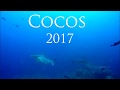 Cocos 2017 (Coco's Island, Costa Rica) Buceo, diving