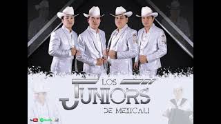 Los Juniors De Mexicali- El Bitache