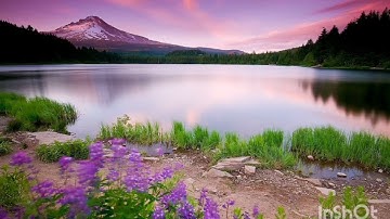 Quranسورة يس كاملة بصوت خاشع يهز القلوب  🌹بدون حقوق طبع ونشر🌹