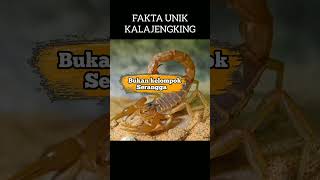 FAKTA KALAJENGKING YG HARUS KALIAN TAU #shorts #kalajengking #fakta #hewanberbisa