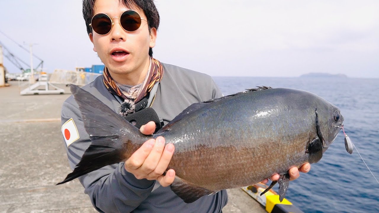 『初心者向け魚釣り方』エサ付けて落とすだけ。シンプルにオモリと針で魚を釣る方法 HOWTO - YouTube