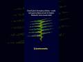Ref:kc0NFuelkDw What if you could see complex numbers dancing  this is what happens when math meets imagination ...