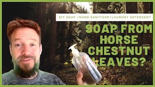 Making Soap From Horse Chestnut Leaves
