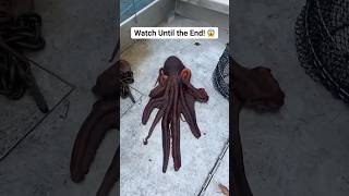 You Won’t Believe What THESE Octopuses Can Do! #shorts