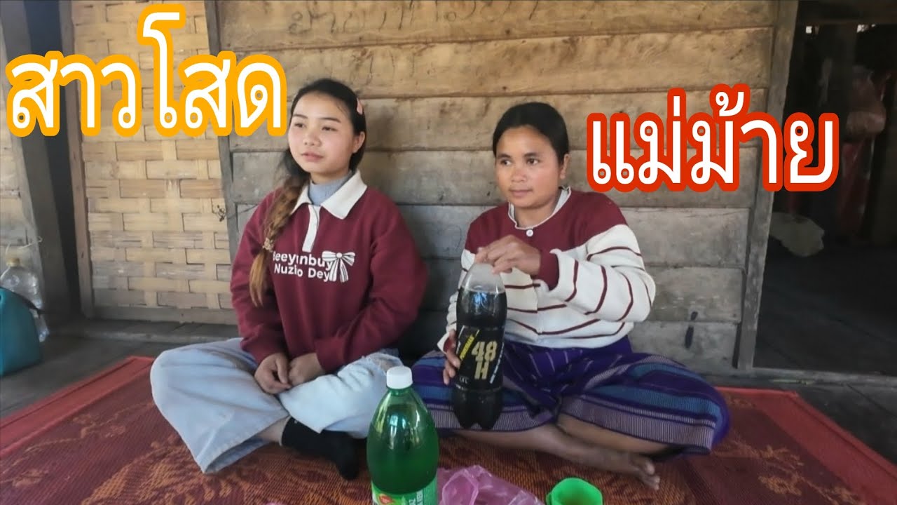 ชอบแนวไหนเลือกได้ช้างเผือกในป่าลึก