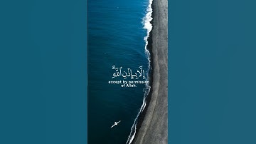 قرآن كريم --تلاوة (ما أصاب من مصيبة)|رعد الكردي #القرآن_الكريم #تلاوة_خاشعة #تلاوات #sorts #القرآن