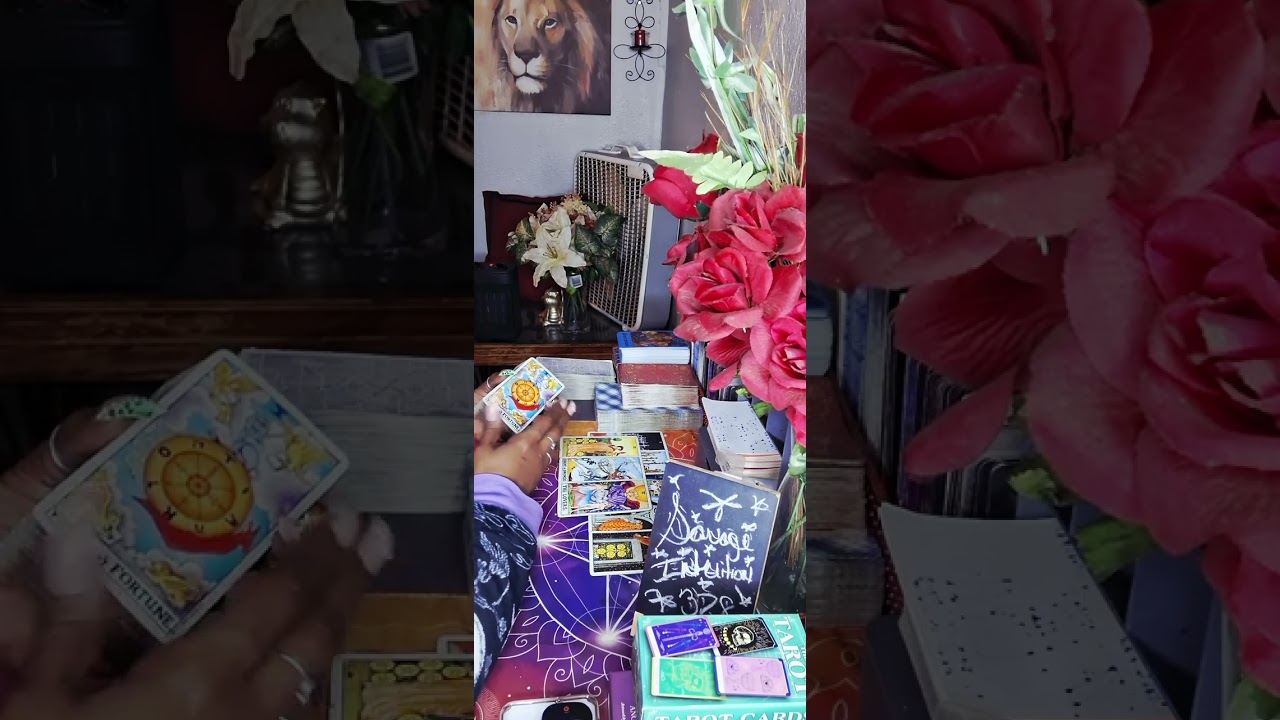 😅You Are CLEVER AsF! That TAINTED 