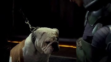 intro  unit 3  appearance  extra video