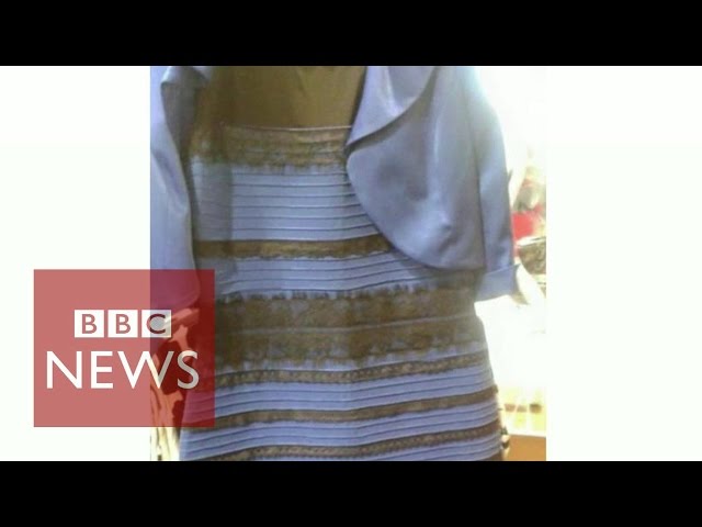 princess polly baby blue dress The dress question stressing the world...- BBC News