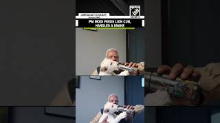 PM Modi seen feeding lion cub, handling snake