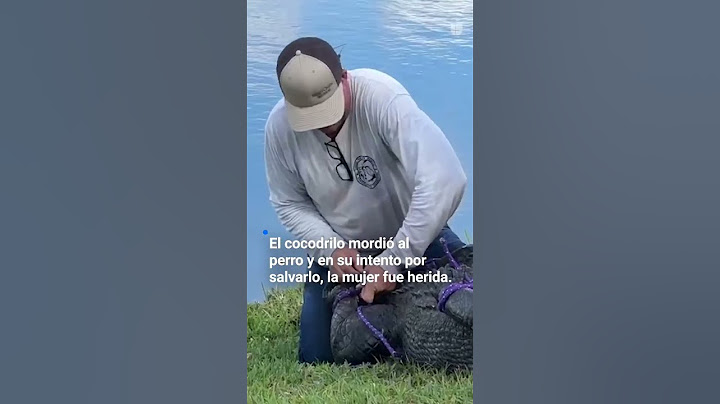 🐊 Una mujer muere tras proteger a su perro de un cocodrilo
