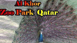 Al Khor Zoo Park in Qatar  (ZOO QATAR )