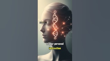 Your DNA Story: The Amazing Blueprint of You!