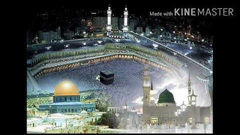 🌹🌼يا أيها الذين آمنوا ادخلوا في السلم كافة....*سورة البقرة* 🚩جميعاً من أجل السلام 🚩⭐🌼🌹