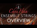 Chris Hein Ensemble Strings - Overview | Best Service