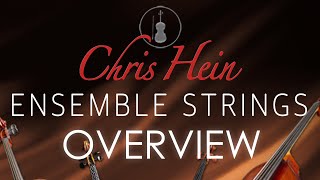 Chris Hein Ensemble Strings - Overview | Best Service