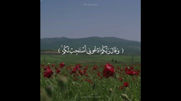 ﴿وقال ربكم ادعوني أستجب لكم﴾ القارئ : عبدالله الموسى