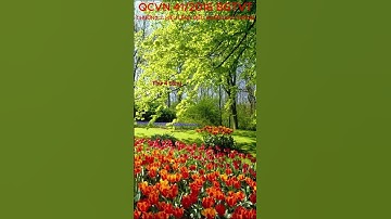 Điều 6 _QCVN_41_2016_BGTVT ( #shorts #short #trending #travel #trend #expressway #shortvideo )