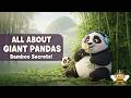 🐼 All About Giant Pandas | Bamboo Facts + Song + Quiz | HappyBee Kids