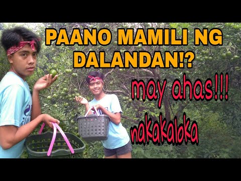 Video: Paano Pumili Ng Mga Dalandan