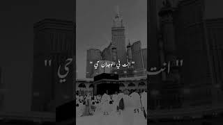 انت نور الله فجرا 🖤🌃             ﷺ