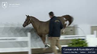 Cayman van de Kasteeldreef Z