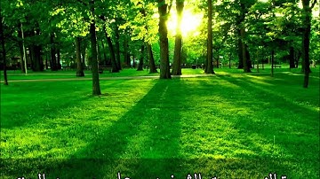 سورة الزمر - علي جريد