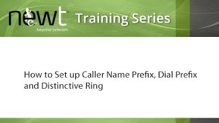How to Set up Caller Name Prefix, Dial Prefix and Distinctive Ring screenshot 3