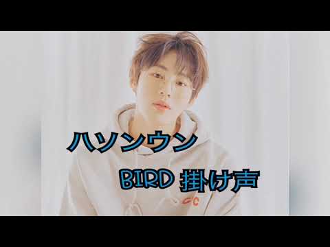 하성운 (ハソンウン）BIRD 掛け声
