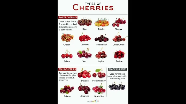 All Types of Cherries | Smiling Cherry 🍒 | - DayDayNews