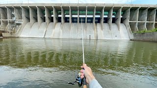 Spillway Fishing for ANYTHING That Bites (SURPRISE Catch!)