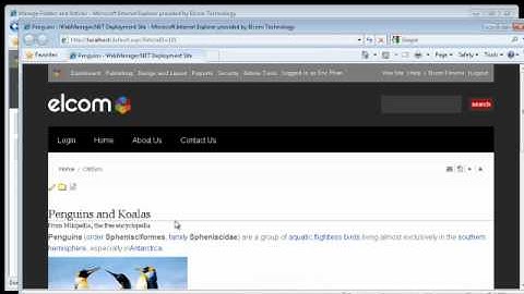 Elcom CMS   Release 7 0