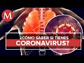 Coronavirus en menos de 1 minuto