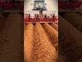 modern machine for making many beds at once #shorts #modernfarming #agriculture