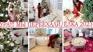 🤩УРА! ПЕРЕЕХАЛИ🏠ПРЕОБРАЖАЕМ И ОБЖИВАЕМСЯ НА СЪЕМНОЙ КВАРТИРЕ🎄СТАВИМ И УКРАШАЕМ ЕЛКУ 2023🎅ГОТОВИМ🥘УЮТ