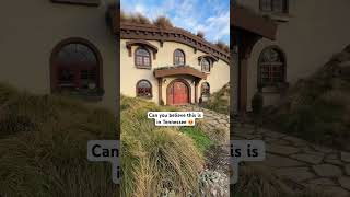 🤯 Welcome to Ancient Lore Village! #shorts #knoxville #tennessee #airbnb