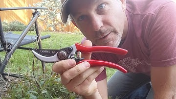 Felco or Gonicc? 8" Professional Sharp Bypass Pruning Shears (GPPS-1002), Tree Trimming Hand Pruners