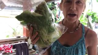 The healthy groceries I bought in Sanur Bali - how much they cost The healthy groceries I bought in Sanur Bali - how much they cost