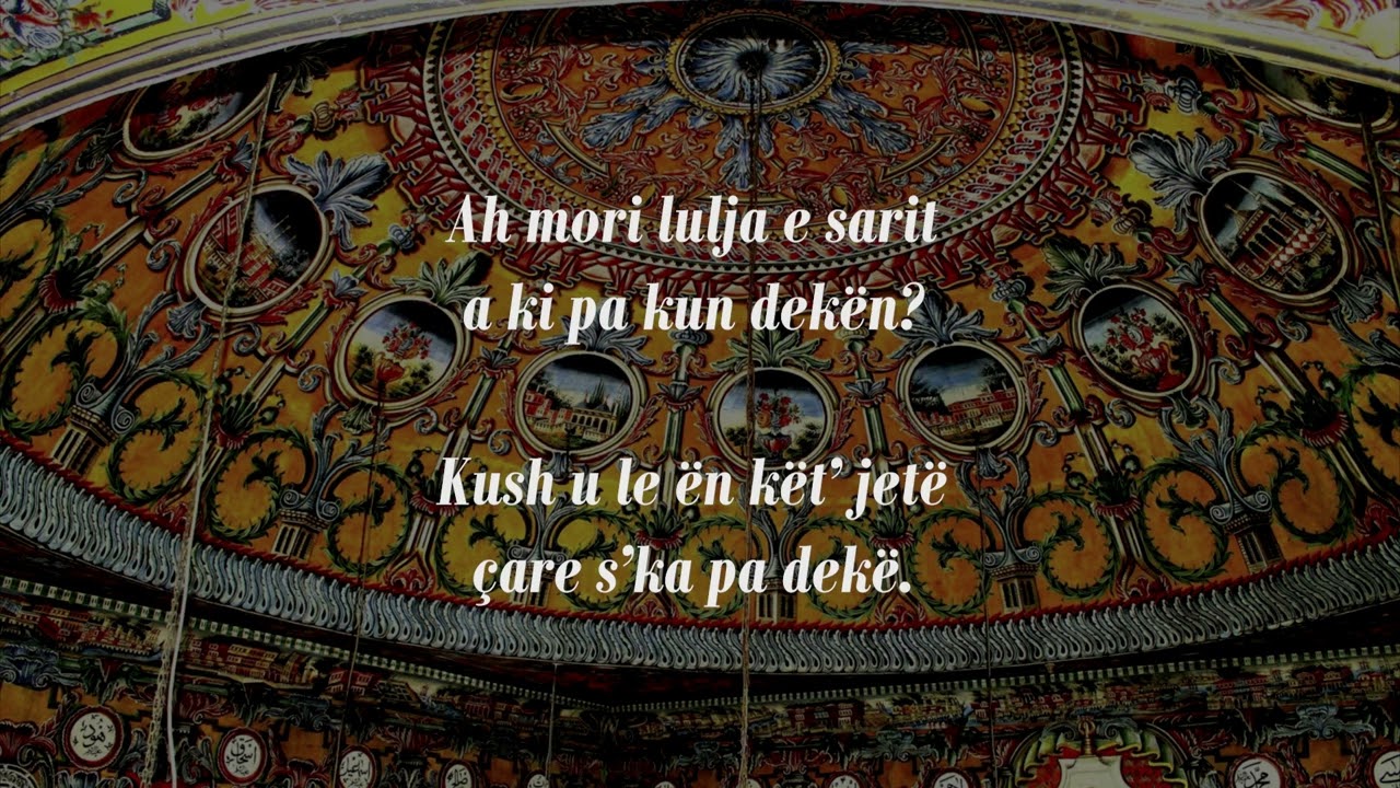 Qora taytlarda ehtiros bilan jinsiy aloqa Bir sinfdoshim menga qandolat berdi