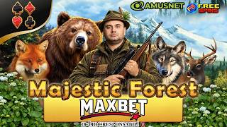 🔴 STERO LIVE 🔴 🎰ORA DE AMUSNET +  AM COD BUN 🔥 AM MAXI SLOTS ✨💯