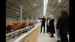 На Вінниччині ТОВ «Вінсайт» запустило нову сучасну молочно-товарну ферму