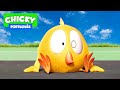 Onde está Chicky? 2021 | CHICKY ON THE ROAD | Desenhos Animados Infantil