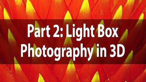 Light Box Photography in Three Dimensions | Part 2: Processing | Harold Davis