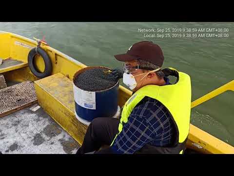 Vortex TR Aquatic Application Midge Control