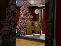 Coed-y-Dinas Christmas Department 2023