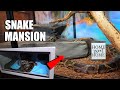 Rescued Pet Snake Gets His Dream Home (It's a python mansion!)