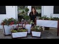 Galvanized Self-Watering Planters // Garden Answer