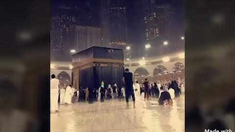 للفقراء المهاجرين |سورة الحشر | أجمل الاصوات | بصوت الشيخ مشاري العفاسي | حالات واتس