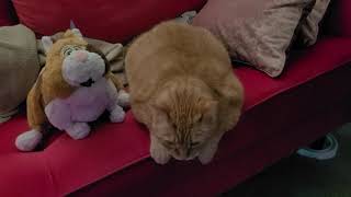 Hairless Apes The Master Planet